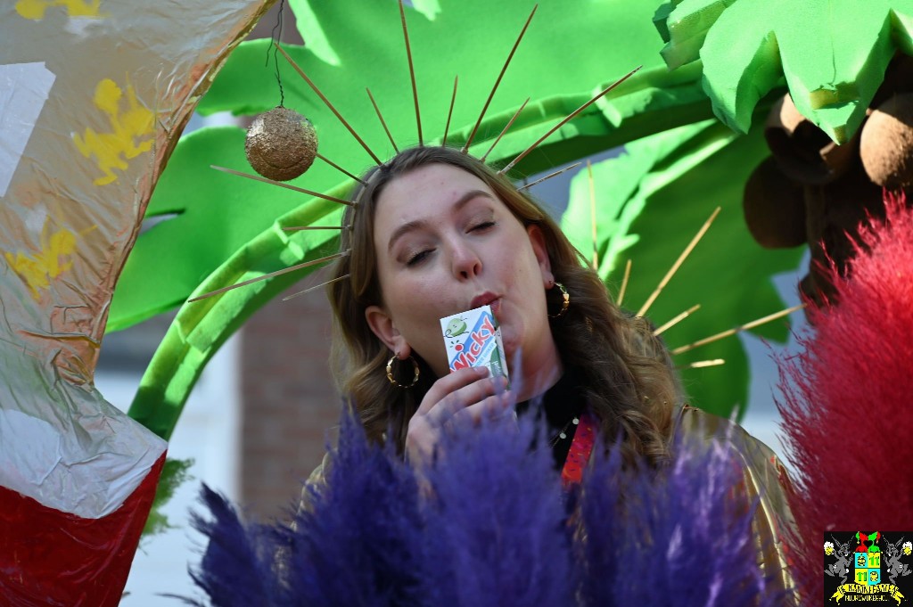 ../Images/Optocht De Zilk 2025 183.jpg